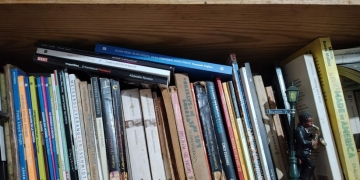 libros de literatura uruguaya en biblioteca - Foto Federico Meneses