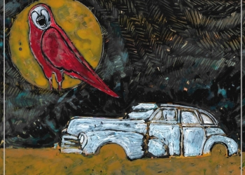 BUCEO INVISIBLE Camino de ida