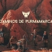 El Plan de la Mariposa - Caminos de Purmamarca