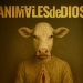 Animales de Dios — Información importante: Estreno y nuevas funciones