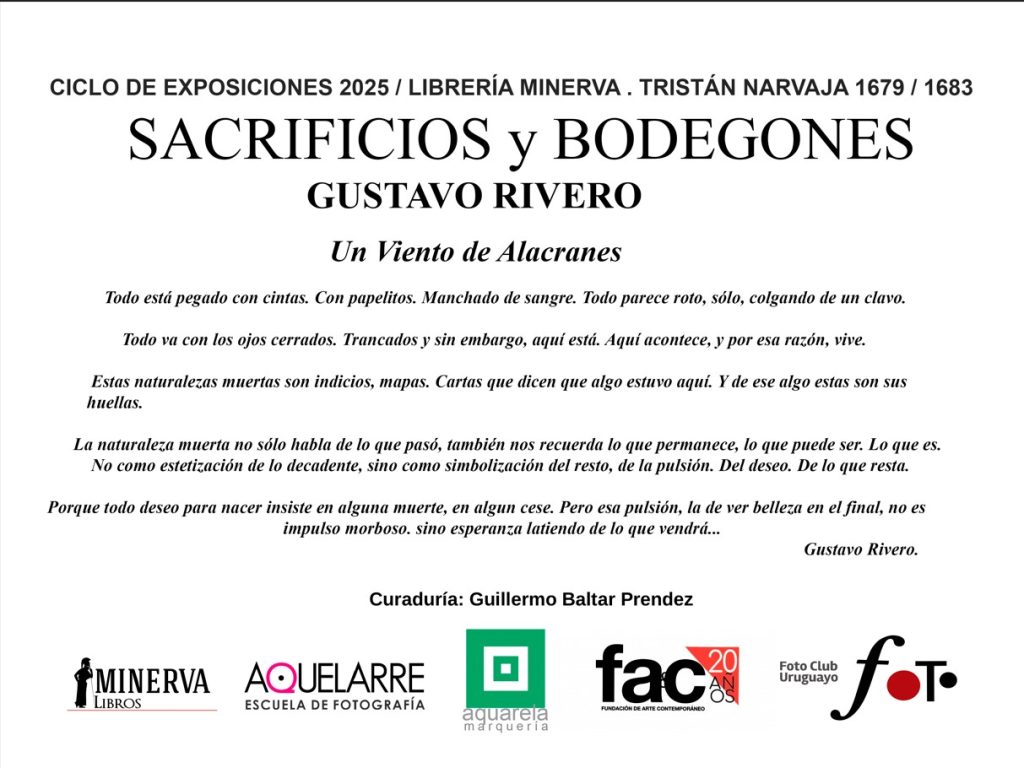 Extrañas Interferencia - Expone Gustavo Rivero