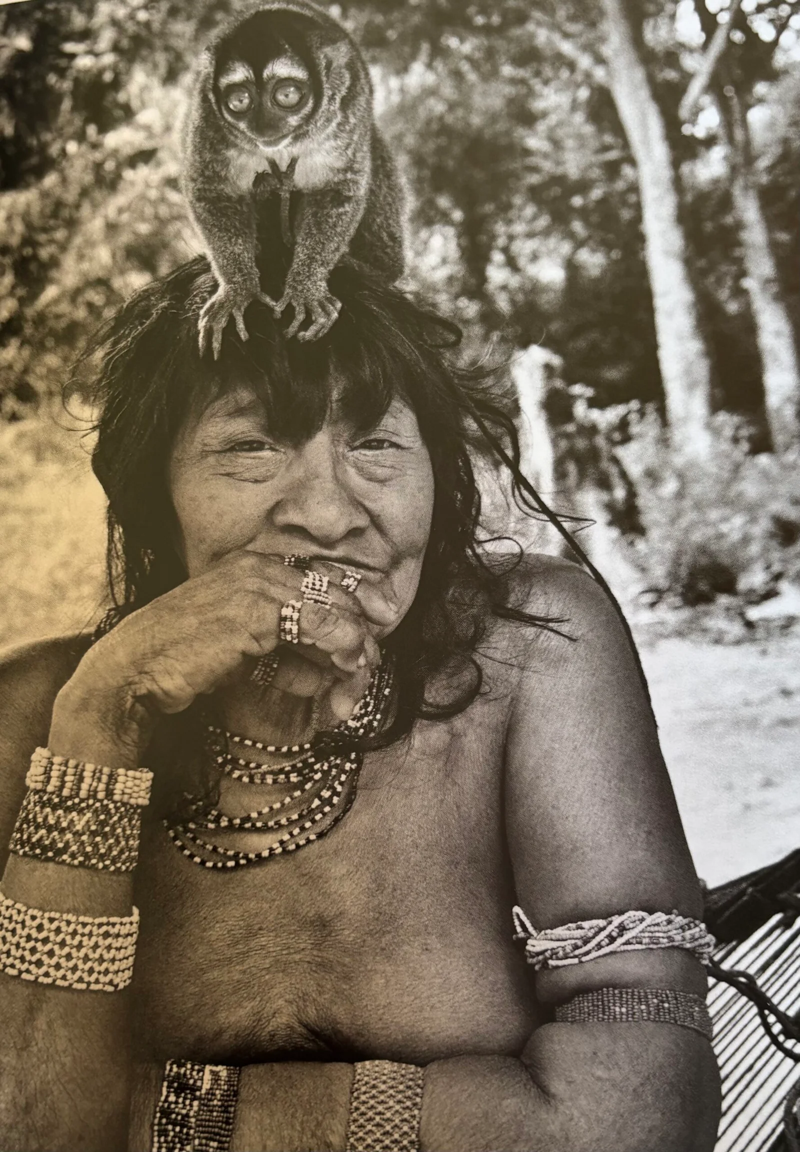 Los Awá-Guajá - Amazônia de Sebastião Salgado by Daniel Benoit Cassou