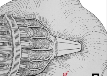 EXPOSICIÓN "Delirio en Montevideo" - Federico LAGOMARSINO - Alliance Française de Montevideo