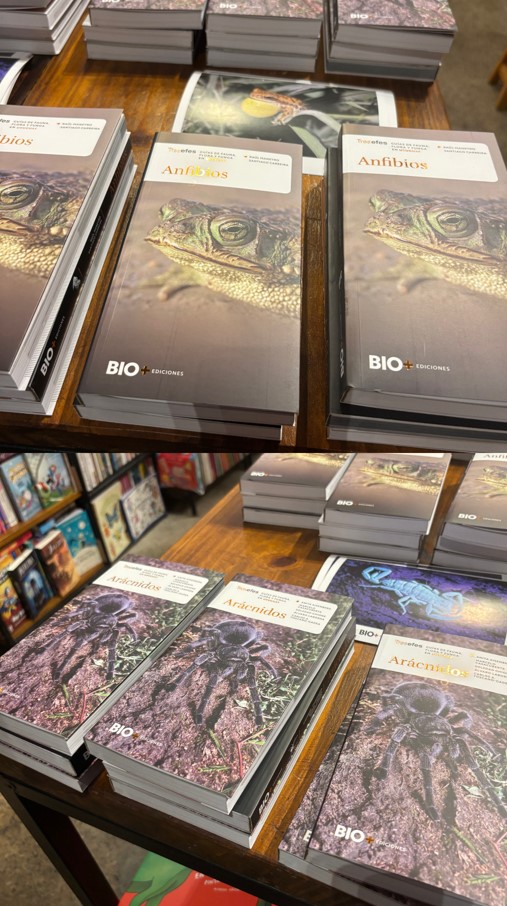 Presentación de Guías de Naturaleza Tresefes Anfibios y Arácnidos – Mercado Ferrando - octubre 2025 by María José Pieri - Foto Diego Castro Famea