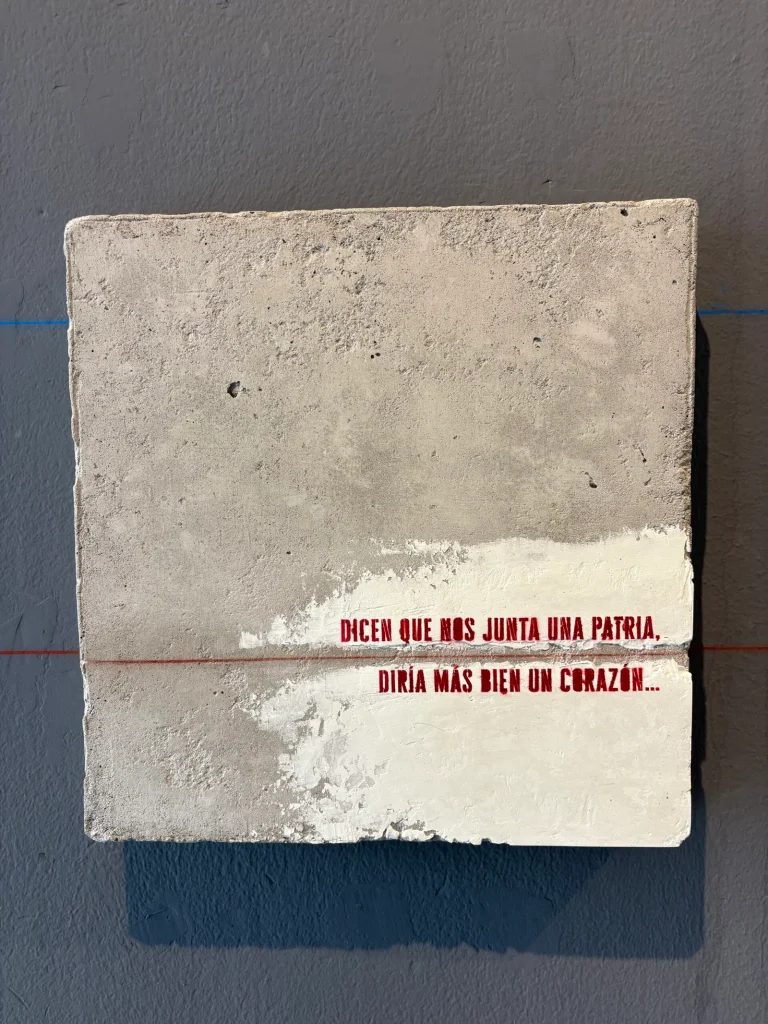 Reversiones y Ficciones de la Nación by Daniel Benoit Cassou