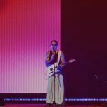 Cardellino - Toscana