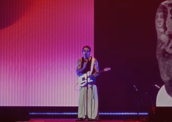 Cardellino - Toscana