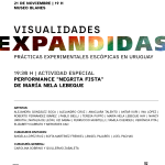 Visualidades expandidas - Laboratorio de cine FAC - Museo Blanes - viernes 21 de noviembre 2025 a las 19 horas.