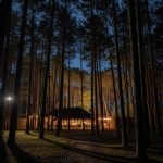 Soto Bosque, el nuevo refugio natural en el bosque de Punta del Este