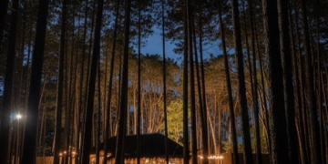 Soto Bosque, el nuevo refugio natural en el bosque de Punta del Este
