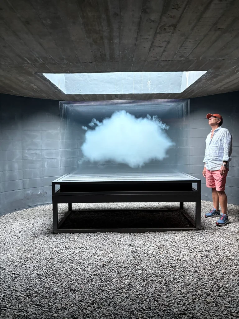 Comulgar con La nube de Leandro Erlich por Daniel Benoit Cassou