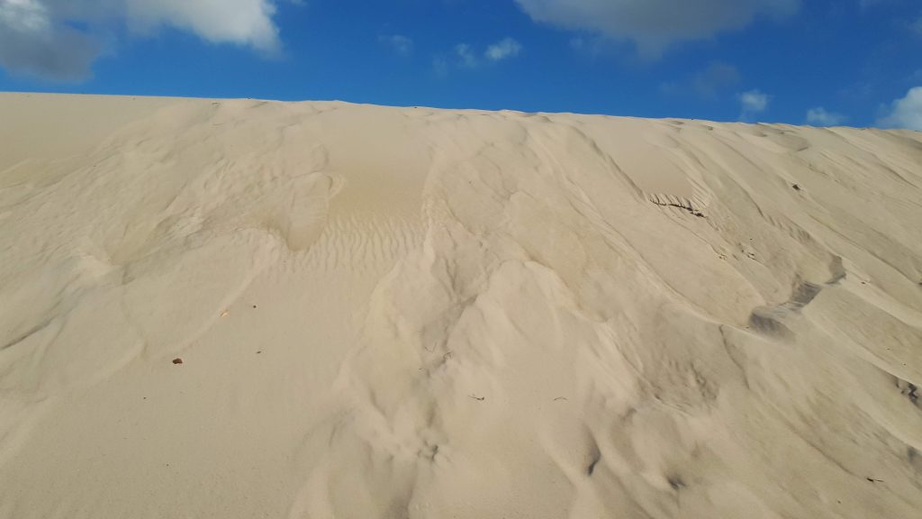 Desierto - arena - Foto Federico Meneses