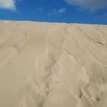 Desierto - arena - Foto Federico Meneses