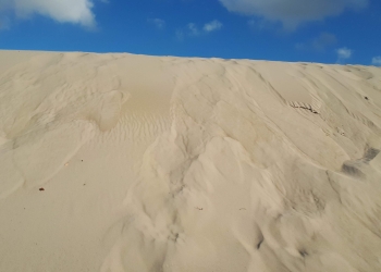 Desierto - arena - Foto Federico Meneses