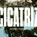 Koino Yokan - Cicatriz