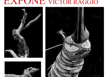 Extrañas Interferencias