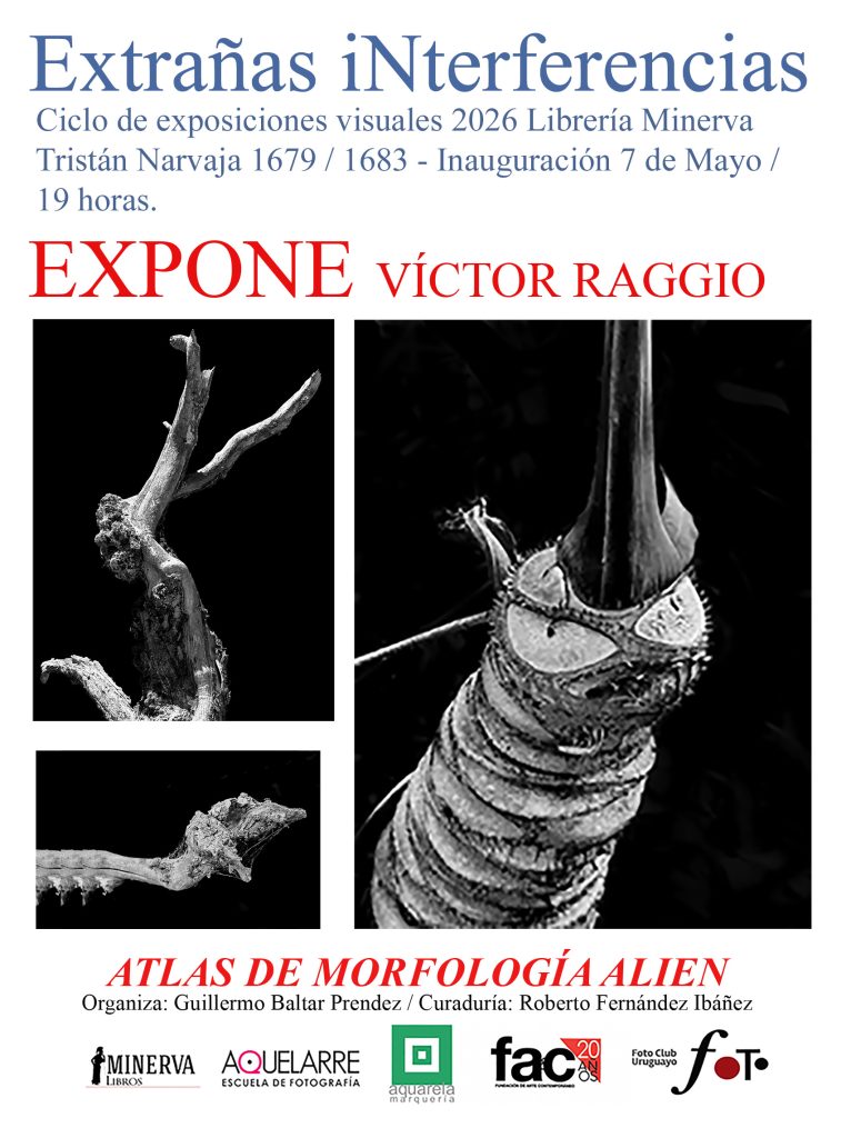 Extrañas Interferencias