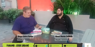 Verde Urbano Transformando la ciudad con mariposarios y educación ambiental de la mano de Panambí por Diego Castro Famea