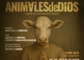 Vuelve “Animales de Dios”: Marianella Morena re-estrena una obra inspirada en el caso Conexión Ganadera