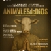 Vuelve “Animales de Dios”: Marianella Morena re-estrena una obra inspirada en el caso Conexión Ganadera