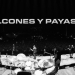 No Te Va Gustar - Halcones y Payasos - En Vivo en Ferro