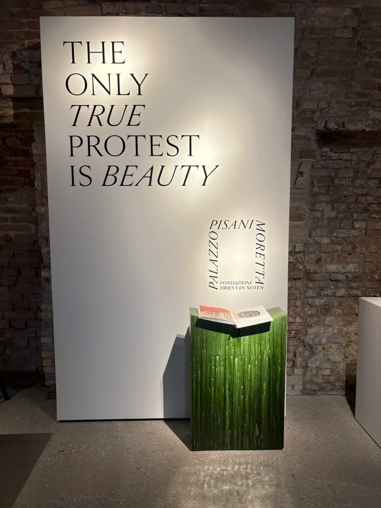 The Only True Protest is Beauty - Venecia, Italia por Daniel Benoit Cassou