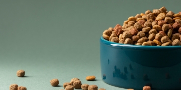 ¿Cómo elegir la alimentación adecuada según la edad de una mascota?