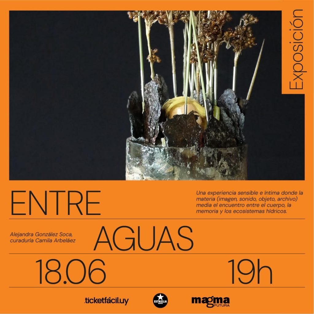 ENTRE AGUAS de Alejandra González Soca en Magma Futura