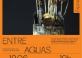 ENTRE AGUAS de Alejandra González Soca en Magma Futura