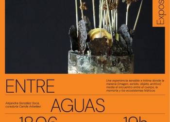ENTRE AGUAS de Alejandra González Soca en Magma Futura