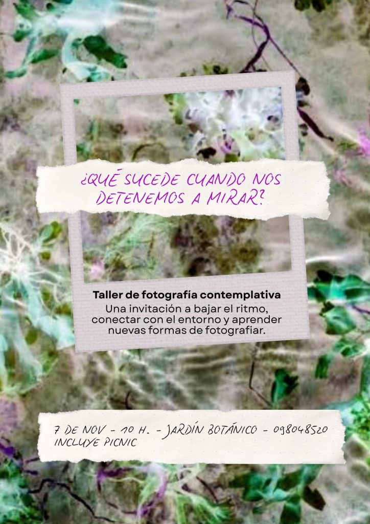 ¿Qué sucede cuando nos detenemos a mirar
