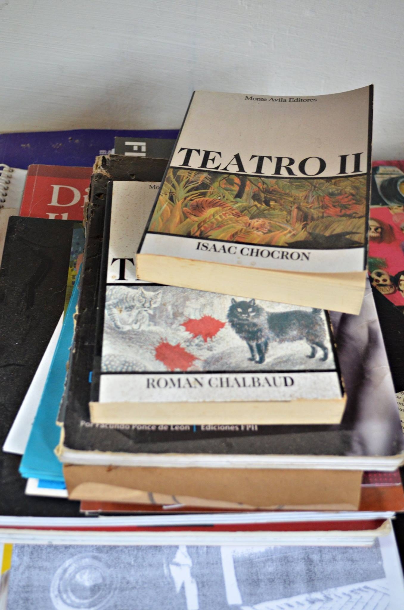 Fotorreportaje a Agustín Lucas- Junio 2016 Fotos Paola Scagliotti www cooltivarte com_1074787059234873