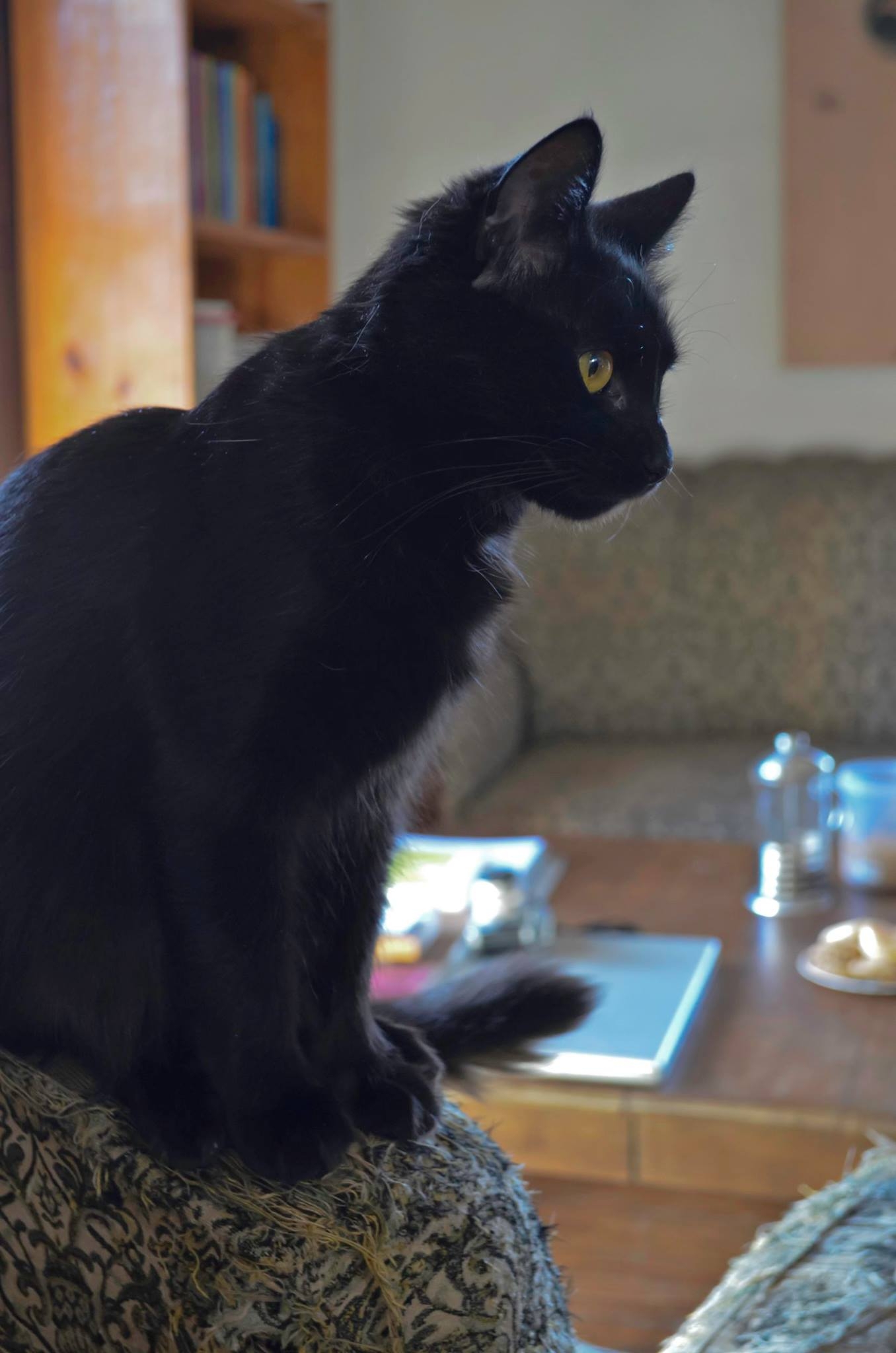 Fotorreportaje a Claudio Burguez- Setiembre 2016 - Foto Paola Scagliotti www cooltivarte com_1121020157944896