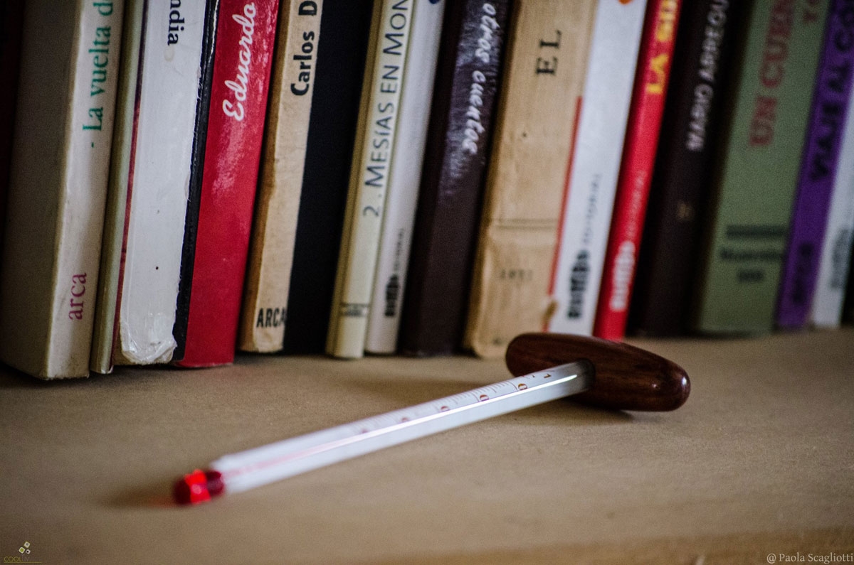 Fotorreportaje a Fabián Severo - Enero 2018 - Foto Paola Scagliotti www cooltivarte com_1598083570238550