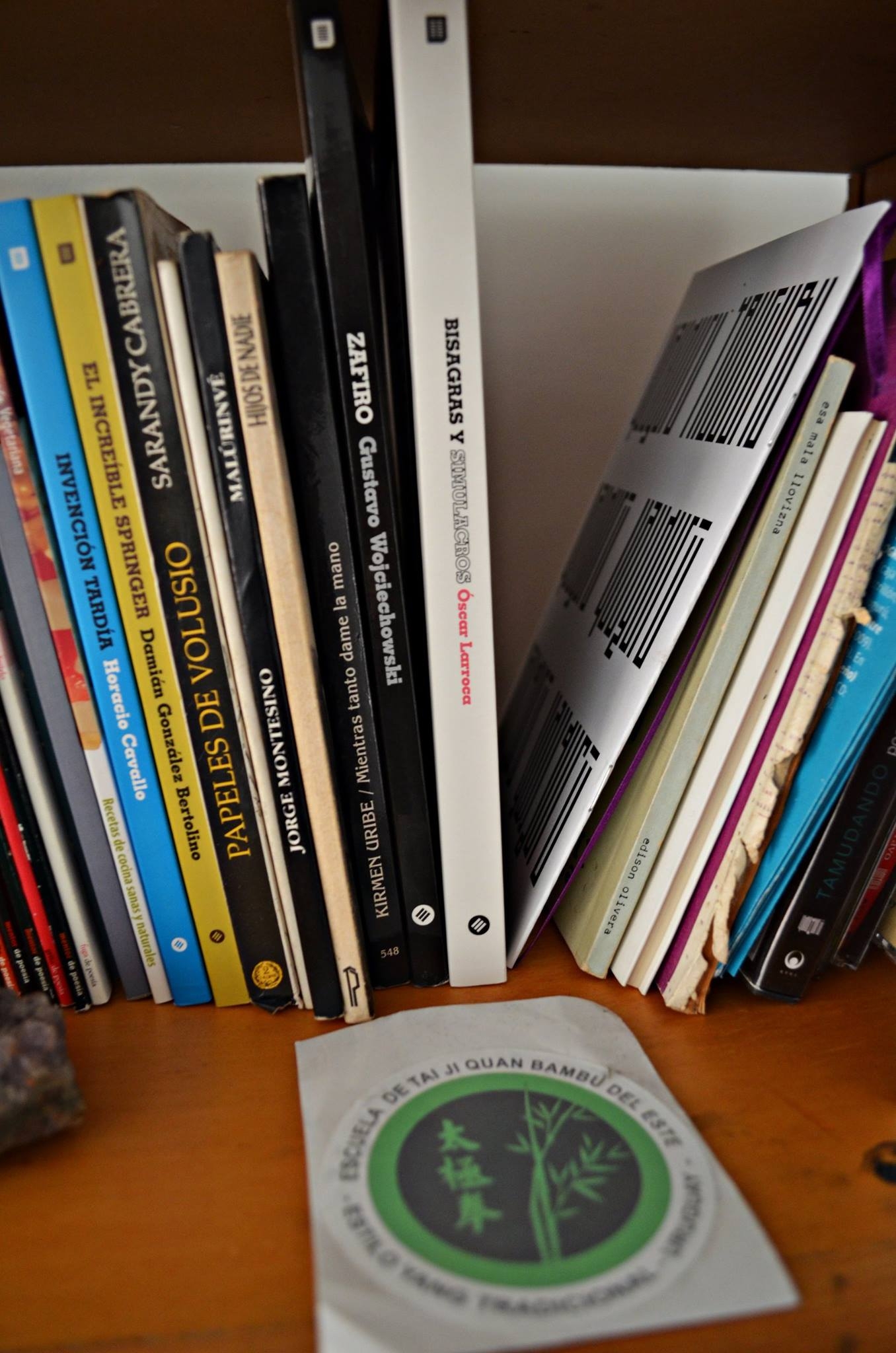 Fotorreportaje a Víctor Guichón - Setiembre 2017 - Foto Paola Scagliotti www cooltivarte com_1466021796778062